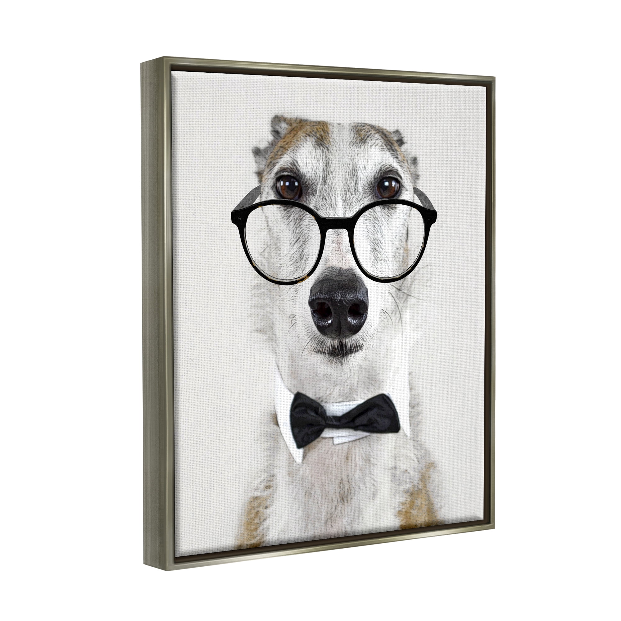 Stupell Funny Dog Formal Bowtie Glasses Animals & Insects Painting Gray Floater Framed Art Print Wall Art