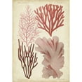 thumbnail image 3 of Vision Studio 18x24 Black Modern Framed Museum Art Print Titled - Seaweed Specimen in Coral III, 3 of 5