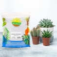 thumbnail image 2 of Cactus and Succulent Potting Mix (8 Quarts) Special Blend-Fast Draining and Desert-Style Gritty, 2 of 3