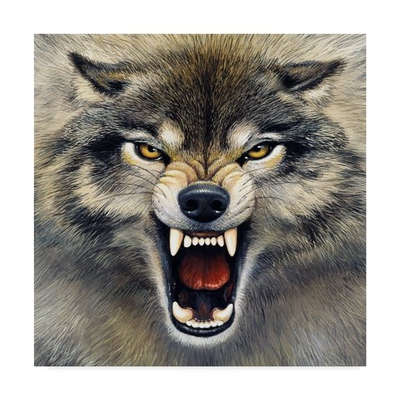 Trademark Fine Art 'Wolf Roaring' Canvas Art by Harro Maass