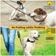 thumbnail image 2 of Labymos Collar de pellizco de entrenamiento para, 2 of 7