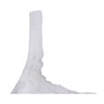 thumbnail image 4 of Brasier Warners Blanco con Varilla Talla 38C, 4 of 4