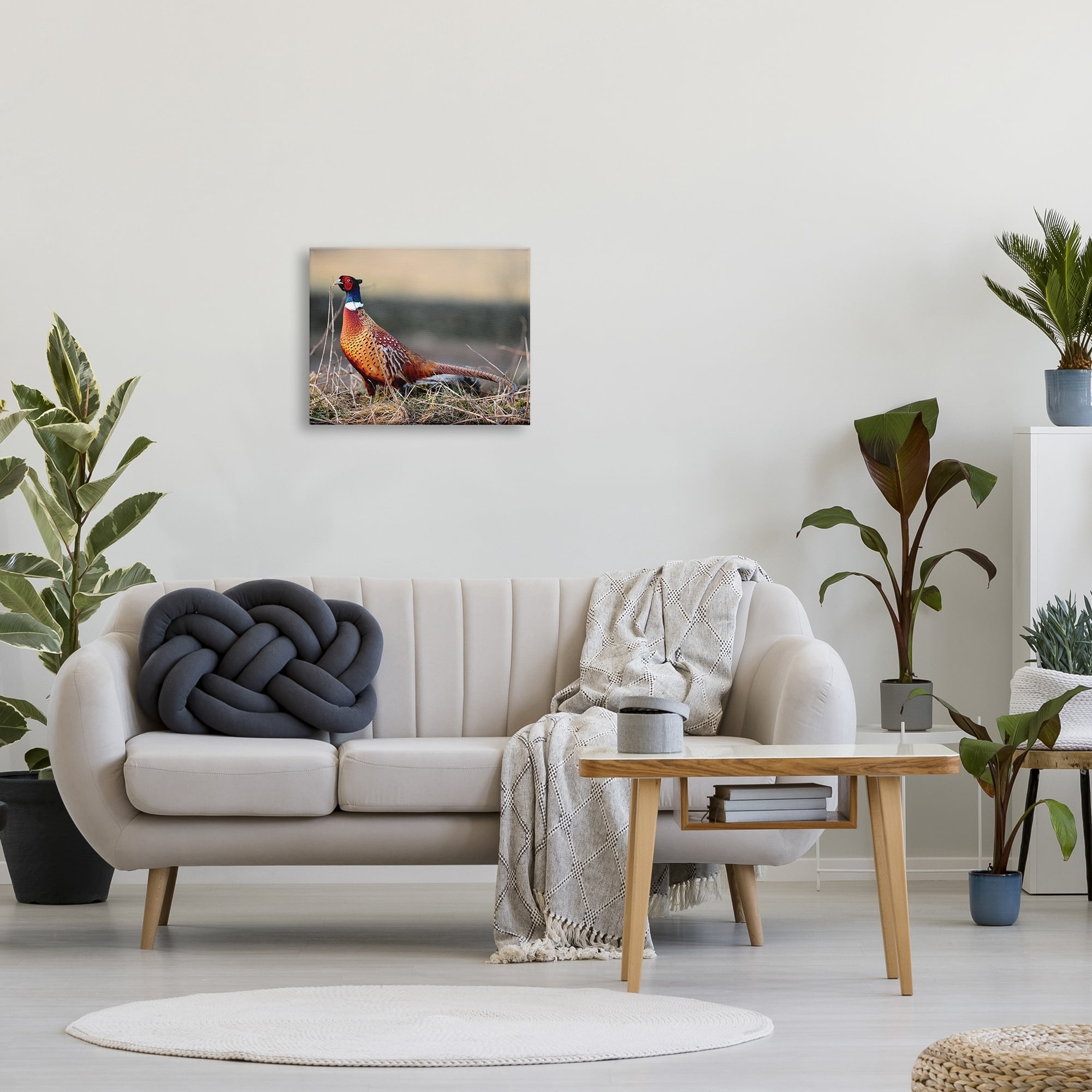 Stupell Industries Lone Pheasant Bird Grassy Forest Floor Wildlife Photograph Gallery Wrapped Canvas Print Wall Art, Design by James Dobson