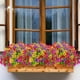 thumbnail image 4 of Flores artificiales Der Rose para decoración de exteriores, 12 unidades, 4 of 6