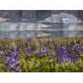 thumbnail image 2 of Wiley, Marta 14x12 White Modern Wood Framed Museum Art Print Titled - Blue Bell IIII, 2 of 4