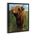 thumbnail image 2 of Stupell Industries Farmhouse Mini Highland Cow Calf Black Floating Frame Canvas Art, 17 x 21, by Renel Peters, 2 of 8