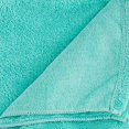 thumbnail image 2 of Design Imports CAMZ34101 Serviette pour Animaux Brodée Verte, 2 of 11