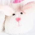 thumbnail image 5 of 17 Inch Lighted Fabric Standing Easter Bunny Gnomes Set of 2, 5 of 7
