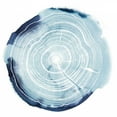 thumbnail image 2 of Popp, Grace 15x15 Black Ornate Wood Framed with Double Matting Museum Art Print Titled - Tree Ring Overlay III, 2 of 4