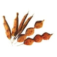 thumbnail image 4 of Rongfmy Artificial Barbecue Model for Kitchen Decor Kids Pretend Combo_8, 4 of 9