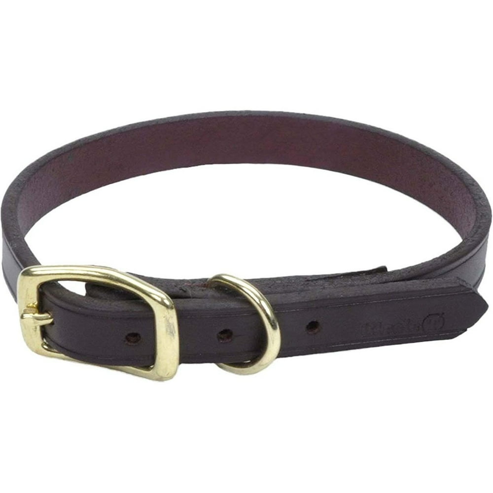 Coastal Dog Collar