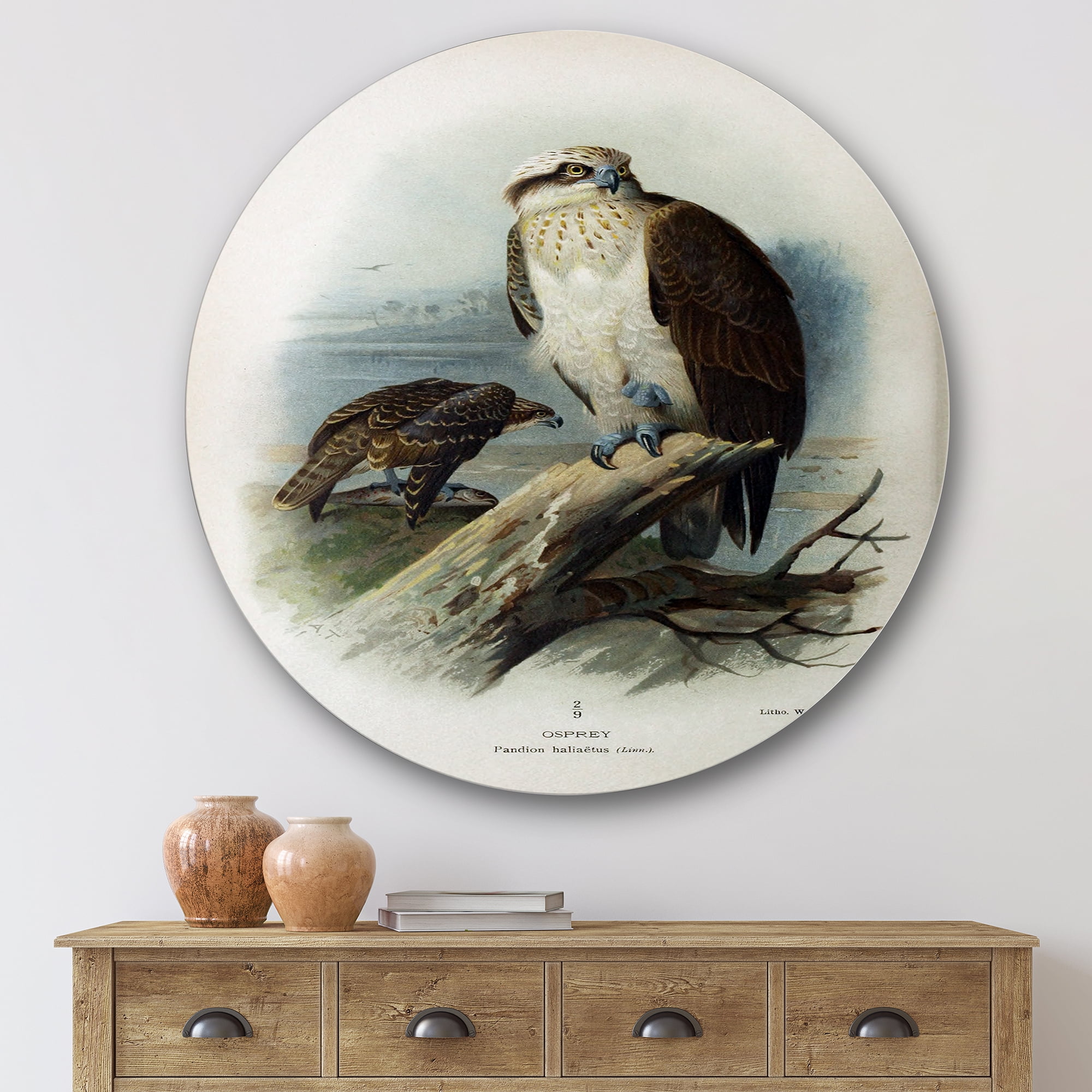 Designart 'Ancient Bird Life VI' Traditional Circle Metal Wall Art 36x36 - Disc of 36