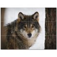 thumbnail image 1 of Wolf Wolves Ceramic Tile Mural Kitchen Backsplash Bathroom Shower 403137-M43, 1 of 3