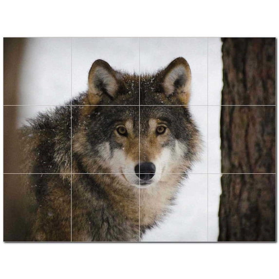 Wolf Wolves Ceramic Tile Mural Kitchen Backsplash Bathroom Shower 403137-M43