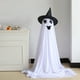 thumbnail image 4 of Decoraciones de fantasmas de Halloween | Fantasmas de tela LED que funcionan con baterías | Altura ajustable 1.3ft–6.5ft | Patio de porche interior y exterior | Juego colgante luminoso | Fácil, 4 of 9