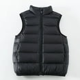 thumbnail image 3 of Chaleco de plumón para niños de otoño e invierno, ligero, mediano y grande, con cuello alto, para bebés, niños y niñas, chaleco de estilo occidental, 3 of 4