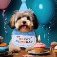 thumbnail image 5 of KAKOWELY 1 juego de gorro de cumpleaños para perro, babero para gato, gorro de cumpleaños para gato, atuendo de cumpleaños para perro, suministros para fiesta de cumpleaños de mascotas, 5 of 5