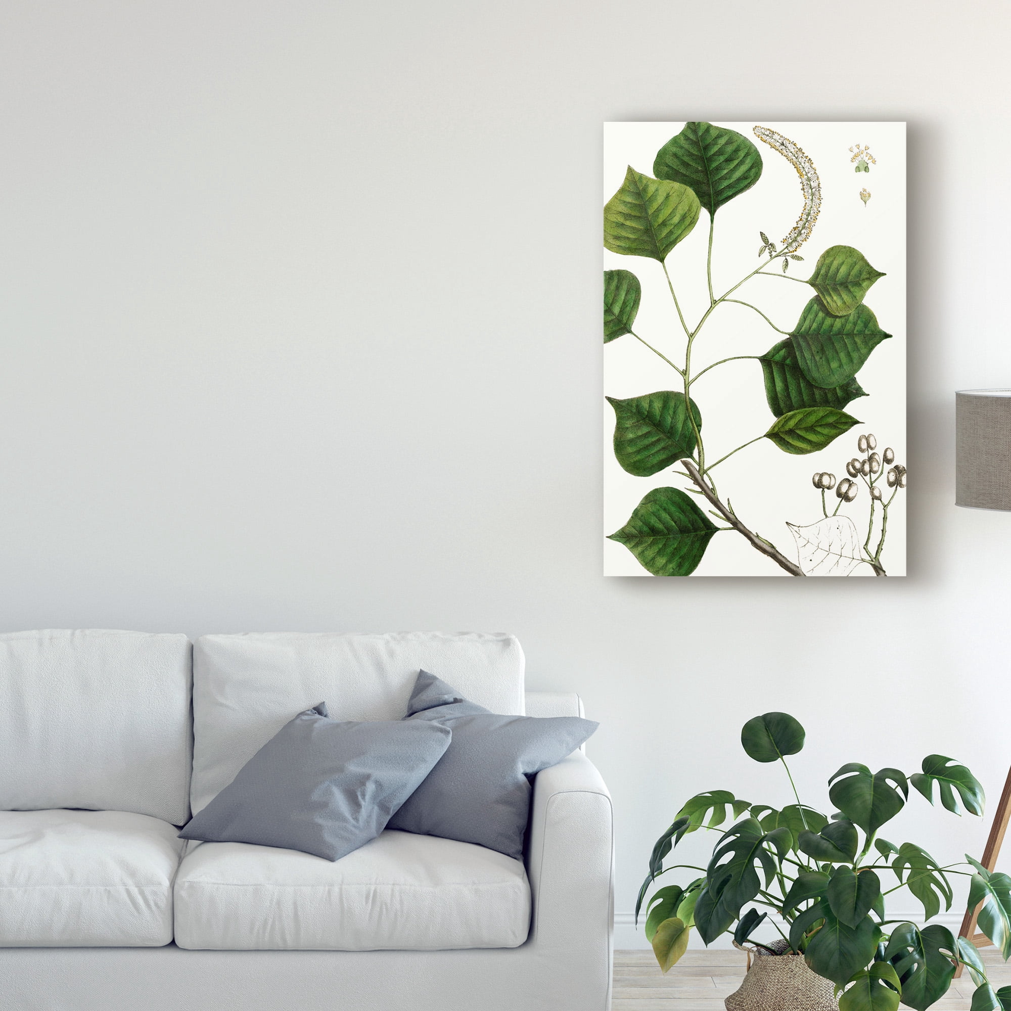 Trademark Fine Art 'Tallow Tree' Canvas Art by Thomas Nuttall