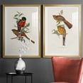 thumbnail image 5 of Wexford Home Elegant Trogons I Premium Framed Print, 30.5" x 42.5" - Ready to Hang, Gold (Set of 2), 5 of 9