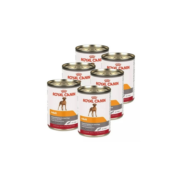 Alimento para perro Paquete de 6 latas Royal canin Adult all dogs 385 gr