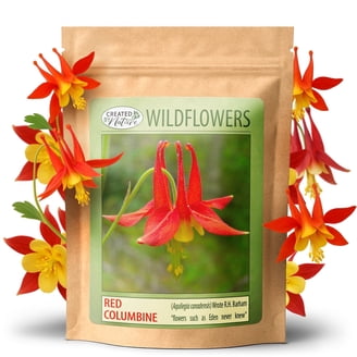 Created By Nature Iowa Wildflower Seed Mix, 16 Flower Varieties, 40,000  Seeds - Walmart.com