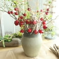 thumbnail image 5 of EUDIDV Decorative Faux Flowers Fake Artificial Rose Fruit Pomegranate Berries Bouquet Floral Garden Home RD Artificial Flowers, 5 of 6