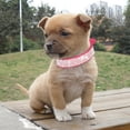 thumbnail image 5 of Collar de cuero con brillantes incrustaciones de cristales para perros y gatitos, 5 of 5