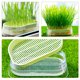 thumbnail image 4 of unbranded Para Germinación De Plantas Para Uso En Invernadero Y En Casa, 4 of 8