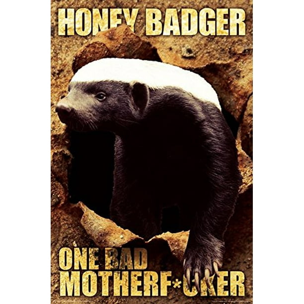Honey Badger is one bad Mother F*cker 36x24 Art Print Poster Wall Decor College Humor Funny Honey Badger is one bad Mother F*cker 36x24 Art Print Poster Wall Decor College Humor Funny