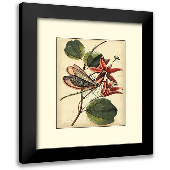 Vision Studio 15x17 Black Modern Framed Museum Art Print Titled - Petite Dragonflies III
