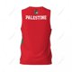 thumbnail image 4 of Camiseta deportiva de baloncesto con la bandera de Palestina para hombre y niño, multifunción, para correr, fitness, sin mangas, con nombre personalizado exclusivo, 4 of 4