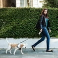 thumbnail image 3 of Retractable Dog Leash, Dog Walking Leash For Small To Large Dogs _jiue, 3 of 5