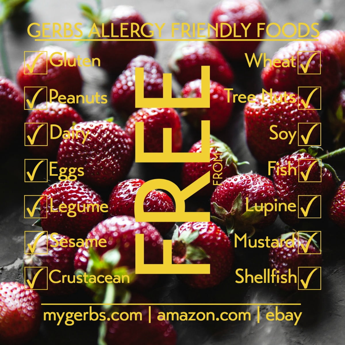 GERBS Summer Sweet Strawberries 2 LBS. | Freshly Dehydrated Resealable Bulk Bag | Top Food Allergy Free | Sulfur Dioxide Free Red Berry | Rich in Vitamins Minerals & Antioxidants| Gluten & Peanut Free