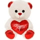 thumbnail image 1 of Osito de Peluche PELUCHERIA Vale Blanco TQM 30cm, 1 of 5