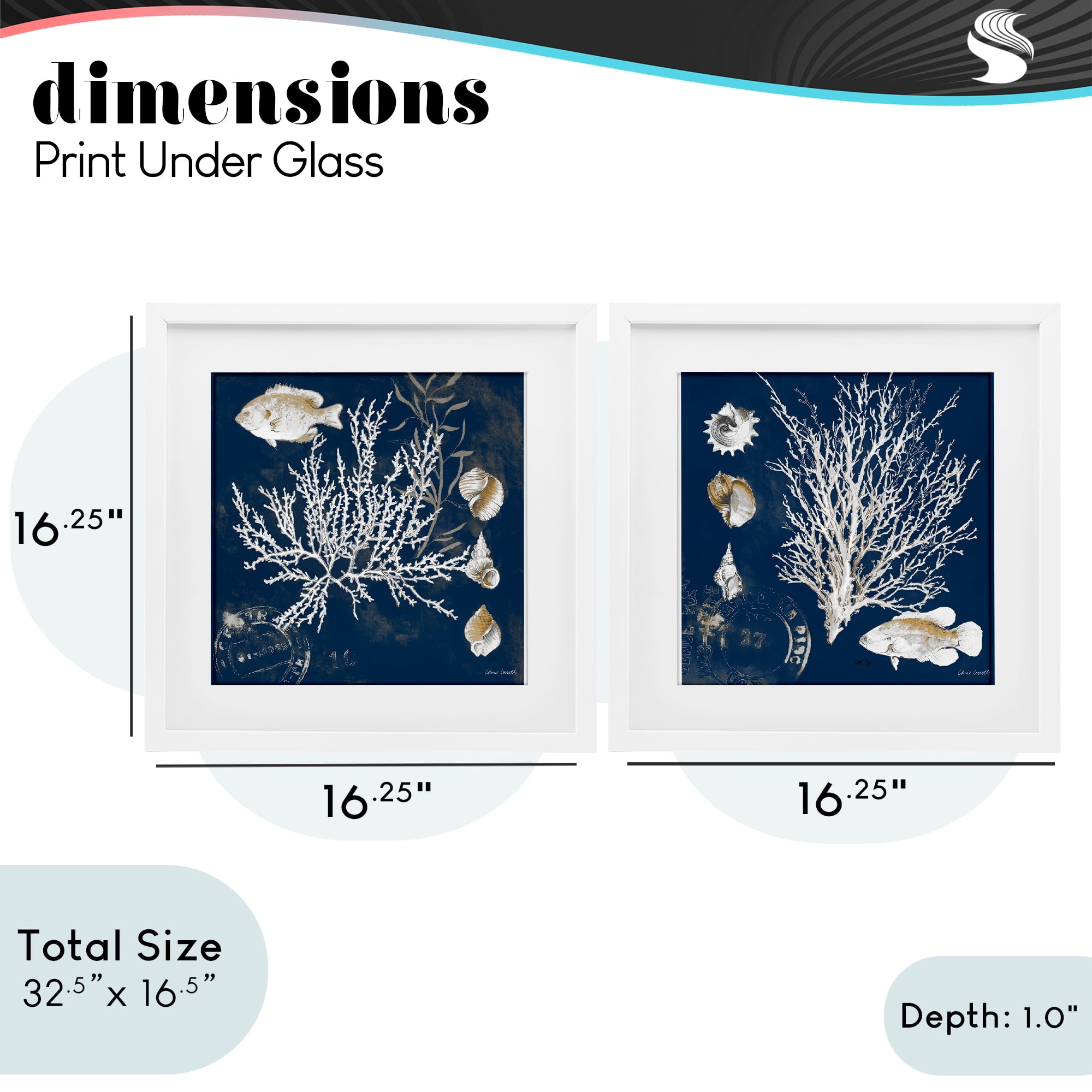 Stupell Industries Navy Coral Medley 2 Piece White Framed Print Under Glass Set, design by Lanie Loreth