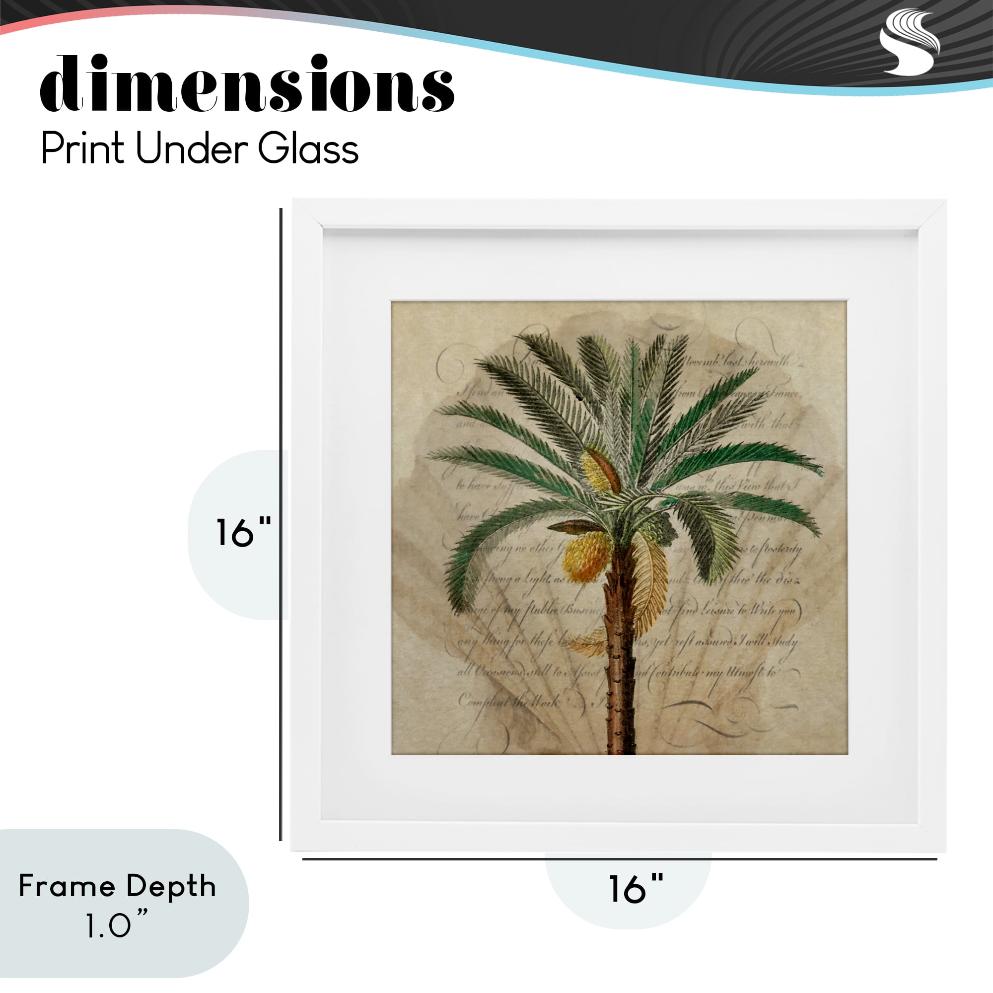 Stupell Industries Vintage Subdued Palm White Framed Print Under Glass, design by Steve Hunziker