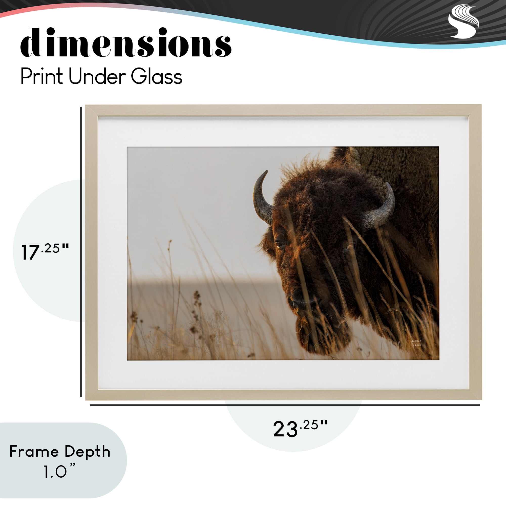 Stupell Industries Bison Sunset on Golden Prairie Birch Framed Print Under Glass, design by Nathan Larson