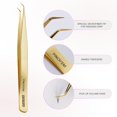 thumbnail image 2 of Curacoro Lash Tweezer - Professional & Precision Fiber Tip Grip Lash Tweezers for Eyelash Extensions, Multi Shapes & Purposes Tweezers for Volume, Isolation & Classic Lashes (Gold, Pinch'em), 2 of 8