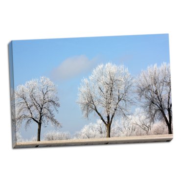 Gango Home Decor Frozen Fog I by Tammy Putman (Ready to Hang); One 36x24in Hand-Stretched Canvas
