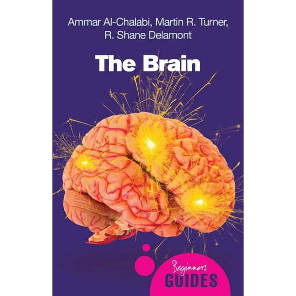 Beginner's Guides: The Brain : A Beginner's Guide (Edition 2) (Paperback)