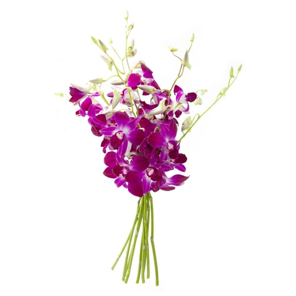 KaBloom : Bouquet of Fresh 10 Purple Orchids, Next-Day Delivery, Gift for all occasions