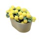thumbnail image 3 of Mini planta artificial en maceta, accesorios para casa de muñecas, decoración, modelo de bonsái en miniatura para decoraciones de jardín a escala 1:6 Amarillo, 3 of 8