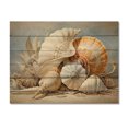 thumbnail image 3 of Designart "Seashells Contemporary composition" Animals Print on Natural Pine Wood, 3 of 5