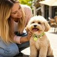 thumbnail image 4 of Pet Collar with Safety Buckle Vibrant Adjustable Beaded Collars for Cats and Puppy Dogs Cute Necklace with Charm Pendant for Small Kitten Puppy Girl Dog M, 4 of 6