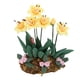 thumbnail image 2 of Miniatura de casa de muñecas en escala 1:12, maceta de resina con flores y plantas, accesorios para casa de muñecas., 2 of 8