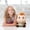 G, variant on adult Horse Plush Toy 23cm Auspicious Meaning Doll Sleep Companion Soft Cute Stuffed Animal Gift for adult adult adult Plushie Nursery Decor