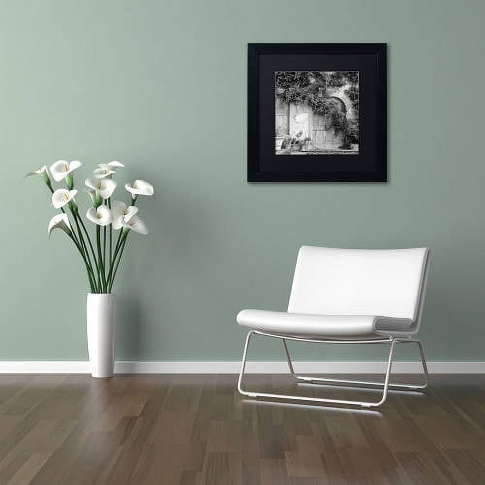 Trademark Fine Art "Tuscany VI" Canvas Art by Alan Blaustein, Black Matte, Black Frame