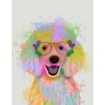 thumbnail image 2 of Fab Funky 12x14 Black Ornate Wood Framed with Double Matting Museum Art Print Titled - Poodle Rainbow Splash, 2 of 4