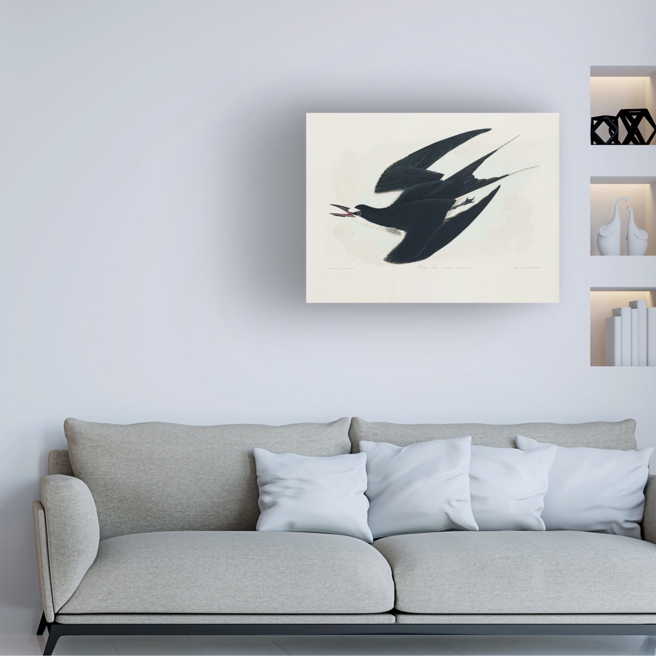Trademark Fine Art Pictufy Sooty Tern From Birds of America 1827 Canvas Wall Art
