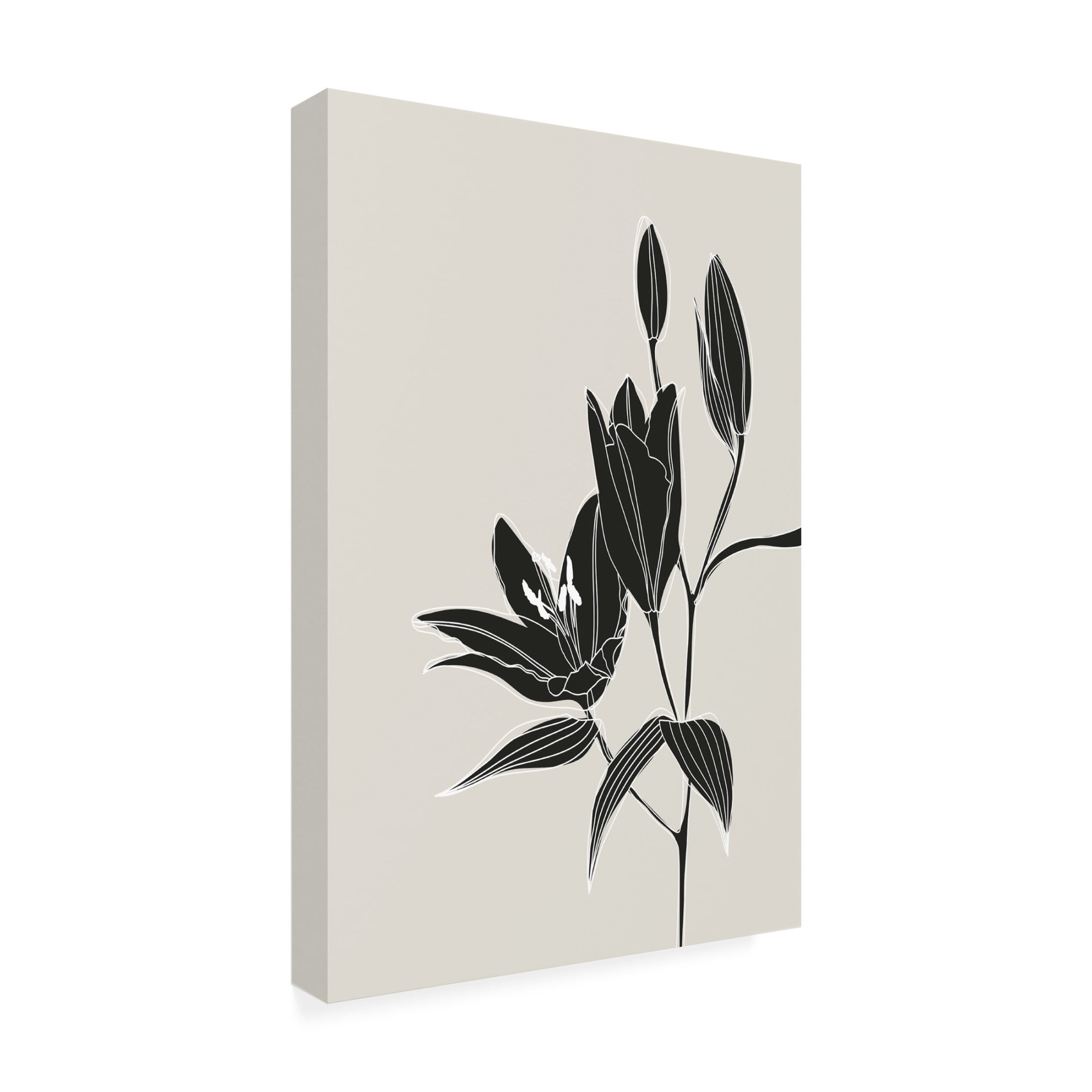 Trademark Fine Art Rosana Laiz Blursbyai Line art lillies in black Canvas Wall Art